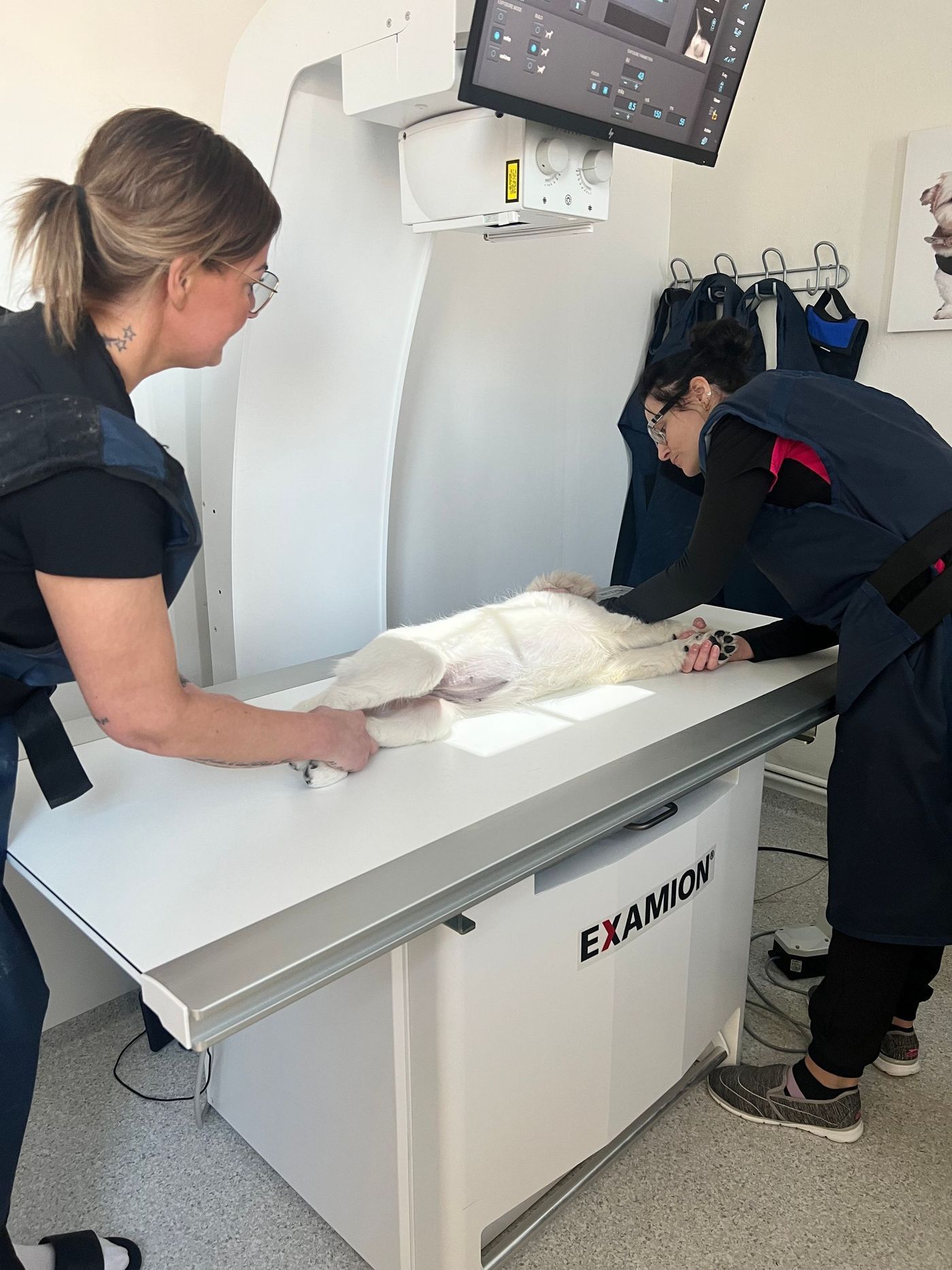 Two people position a white dog on an X-ray table. They are wearing protective vests in a veterinary clinic.