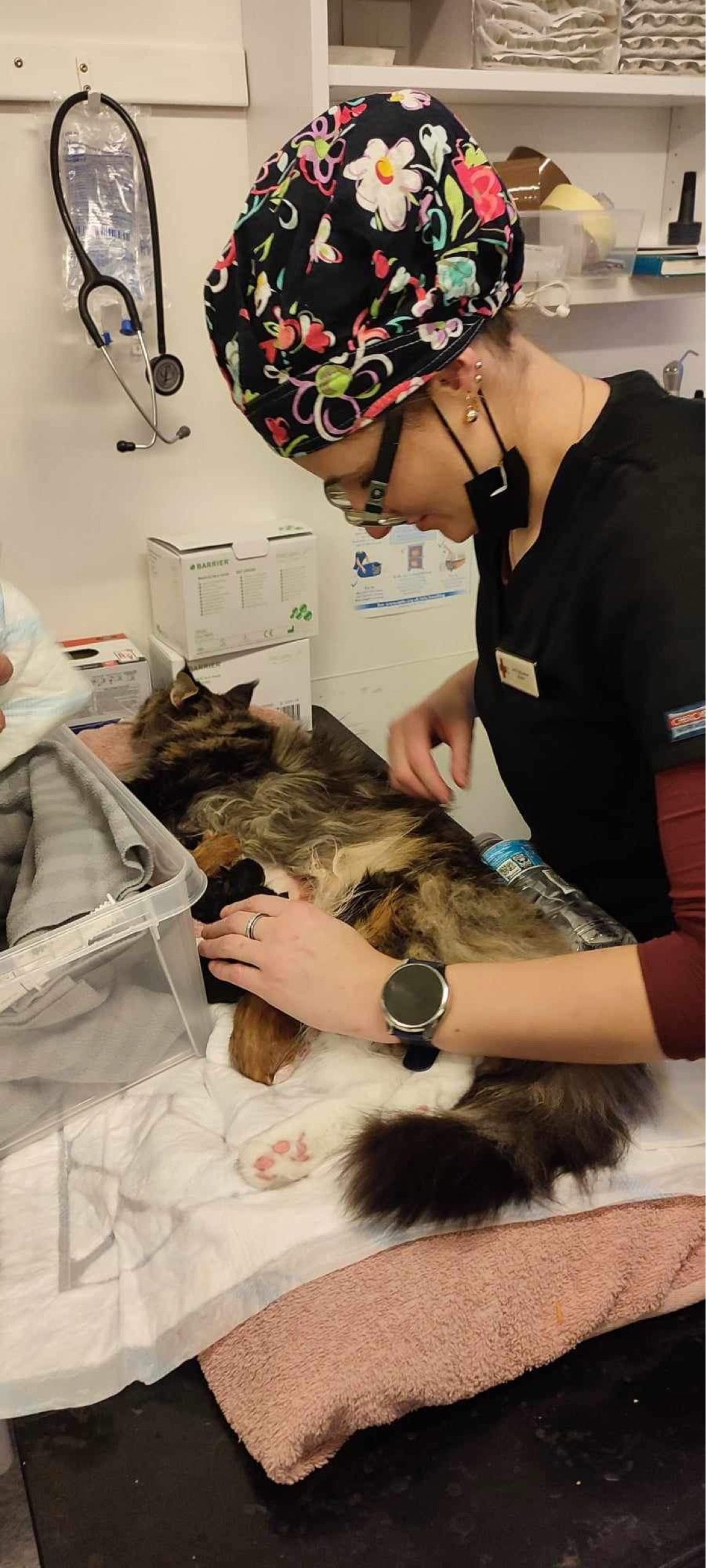 A veterinarian in a floral cap examines a calico cat on a table, applying a bandage to its leg.