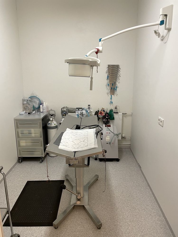 Veterinary examination room: stainless steel table, medical equipment, and bright lighting.