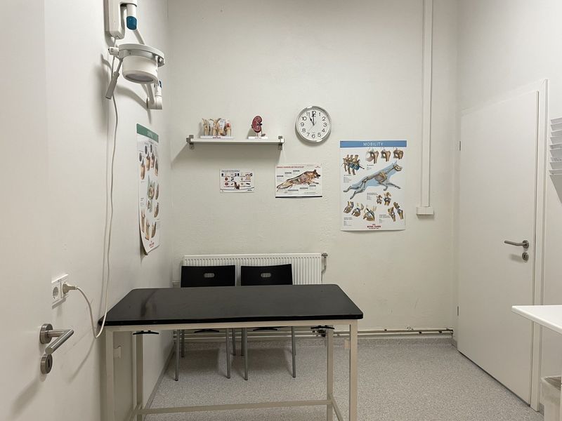Veterinary examination room: examination table, posters, clock, diagnostic equipment, white walls, and closed door.