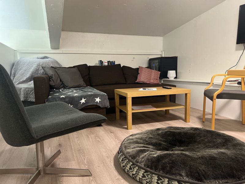 Living room with a dark brown sectional sofa, a small wooden coffee table, and a fluffy dog bed.