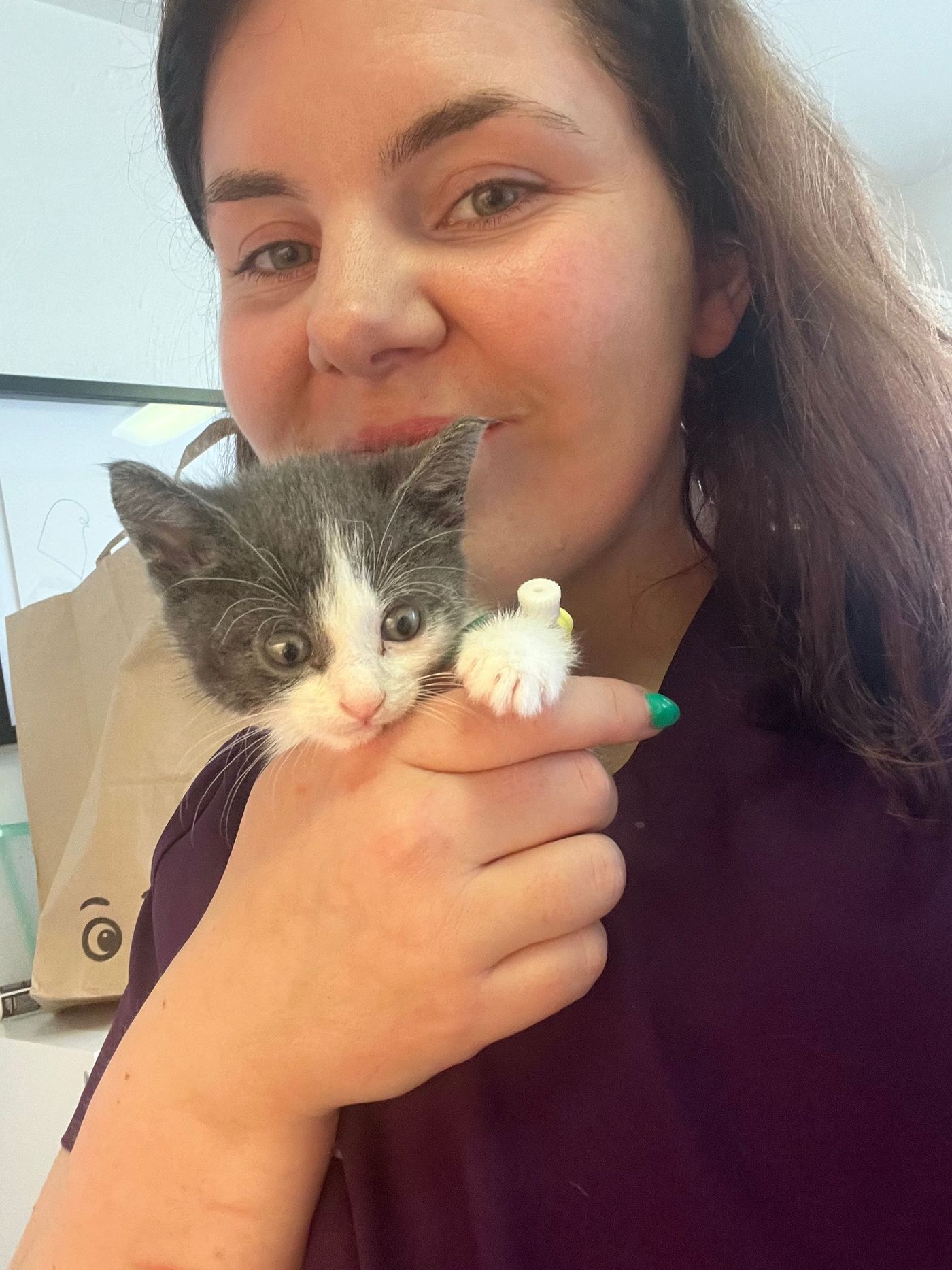 Woman holding a small gray and white kitten; both look at the camera.