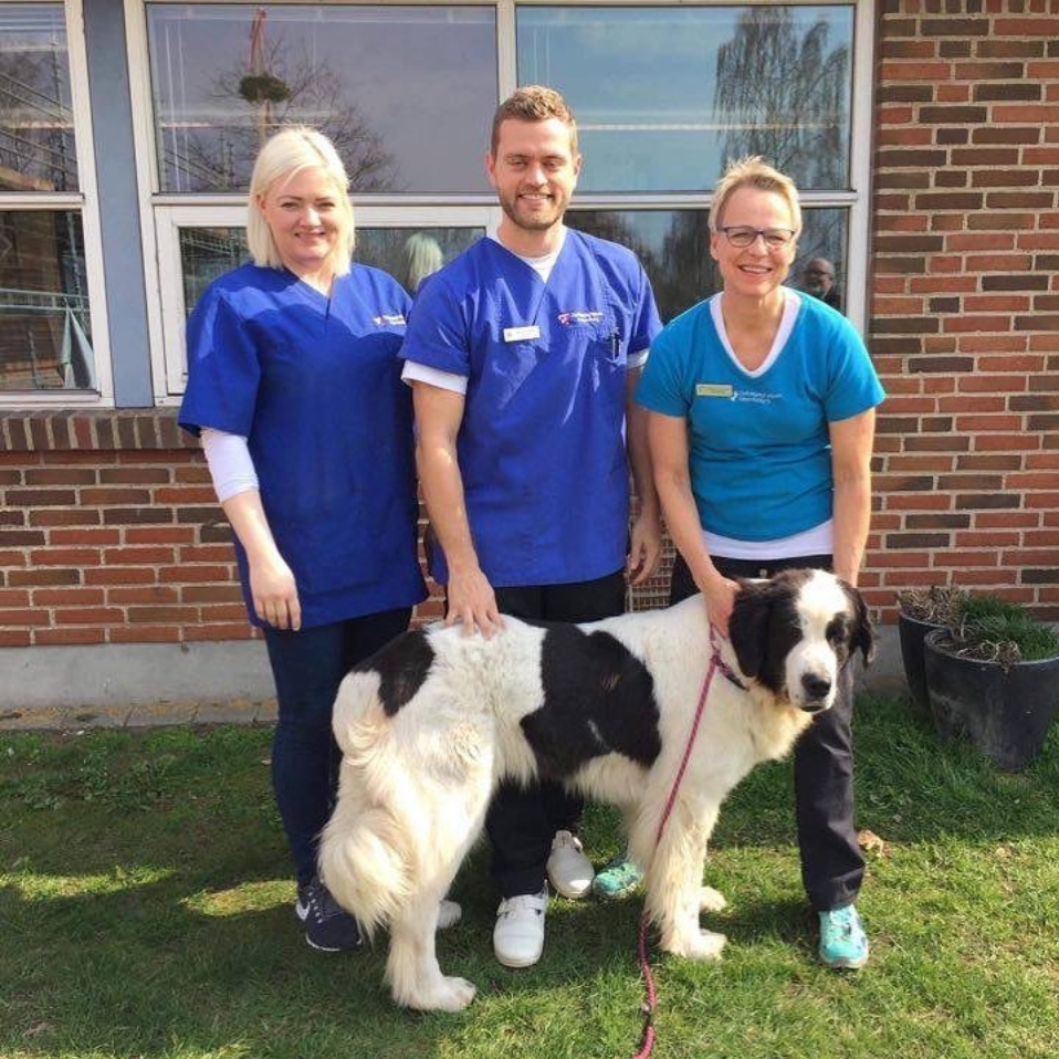 Three people in scrubs with a black and white dog outdoors by a building.