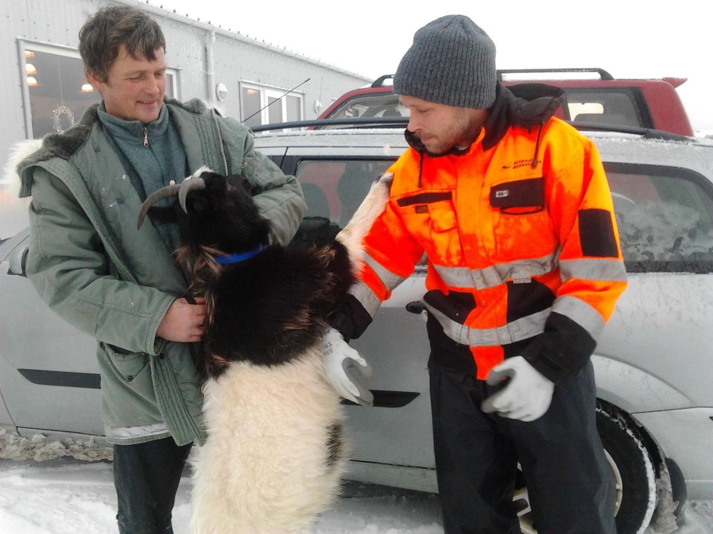 Two men holding a black and white sheep near a silver car in a snowy setting.