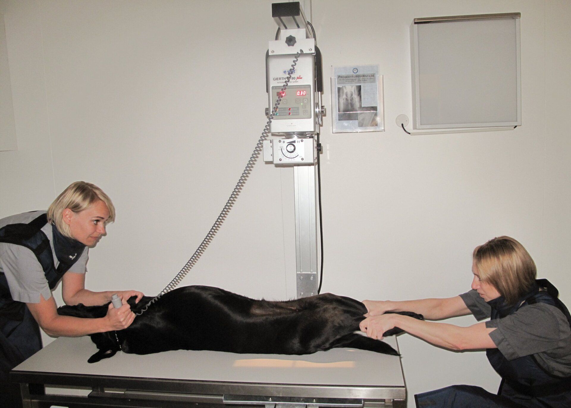 Two people and a dog in a vet clinic. Dog on table, being x-rayed.