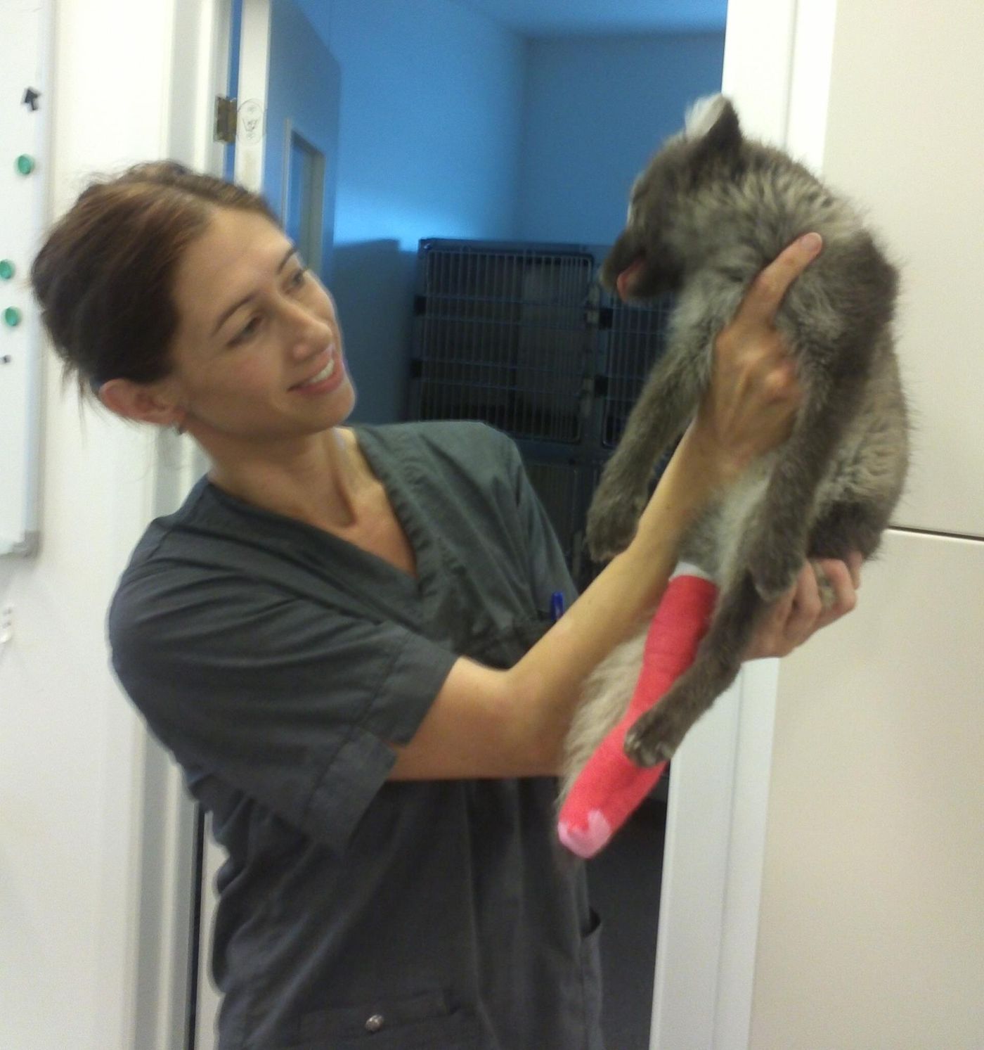 Woman in scrubs holding an injured fox with a pink cast on its leg, smiling in a clinic.