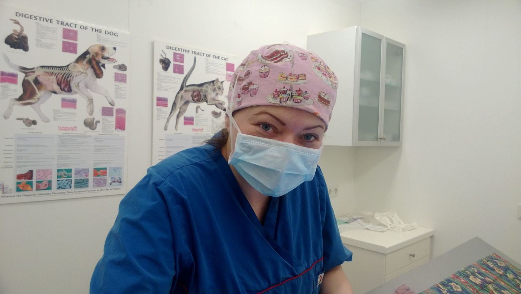 Veterinarian wearing surgical cap and mask, in clinic setting with medical charts.