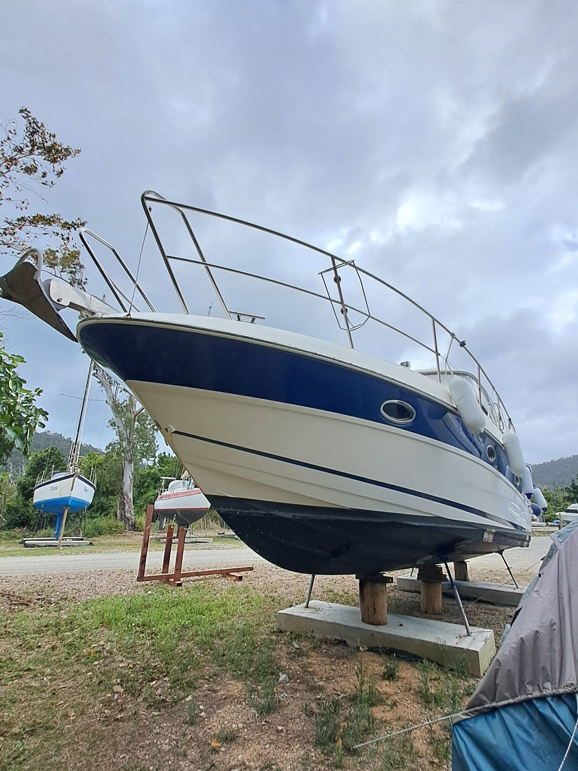 A white and blue boat is parked in a grassy area — Edge's Boatyard In Jubilee Pocket, QLD