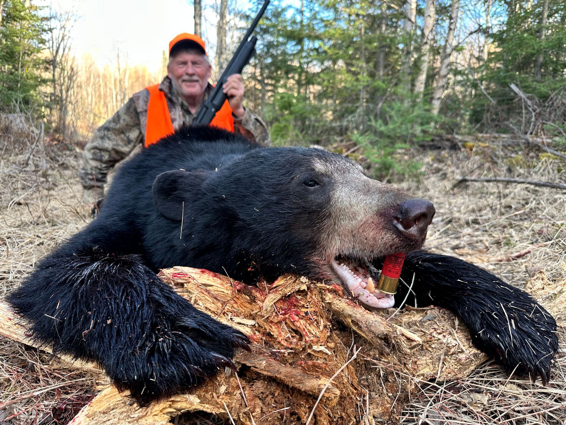 Black Bear Outfitter in Canada