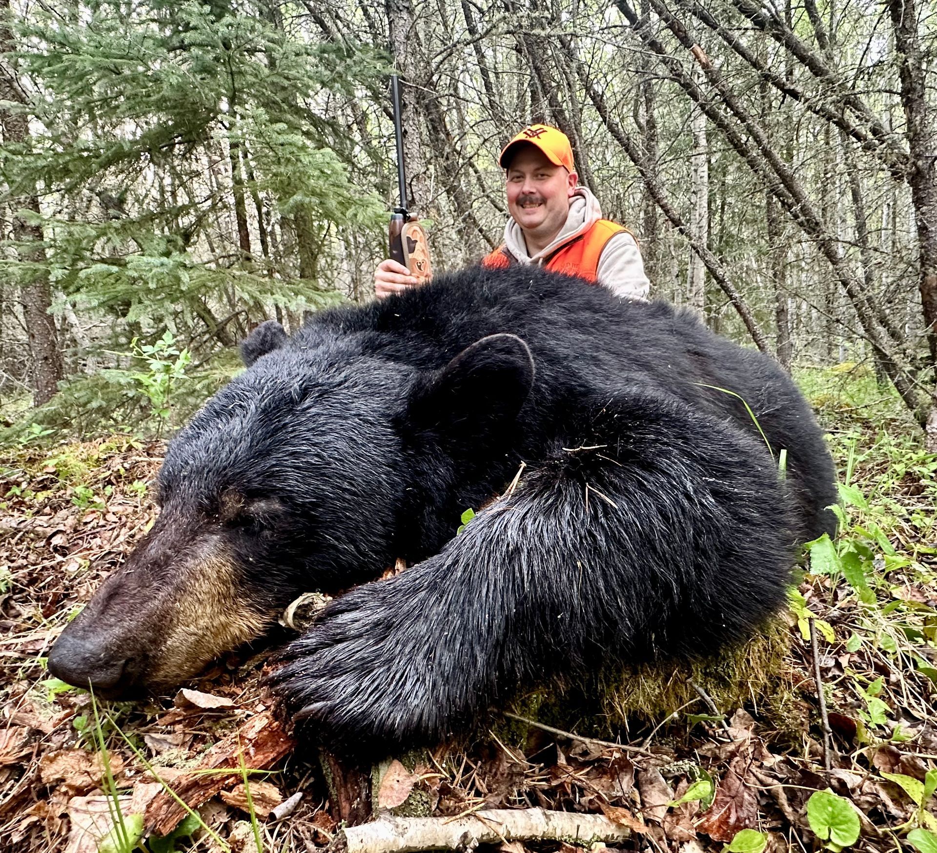 black bear hunting Canada