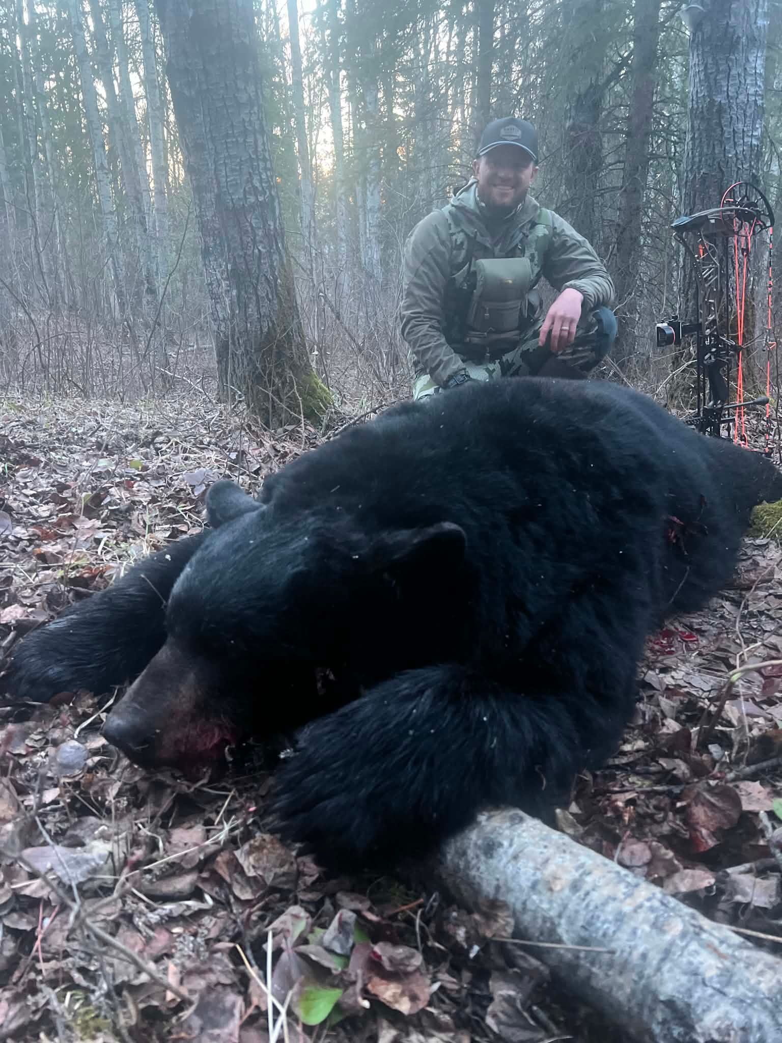 Giant black bear harvested