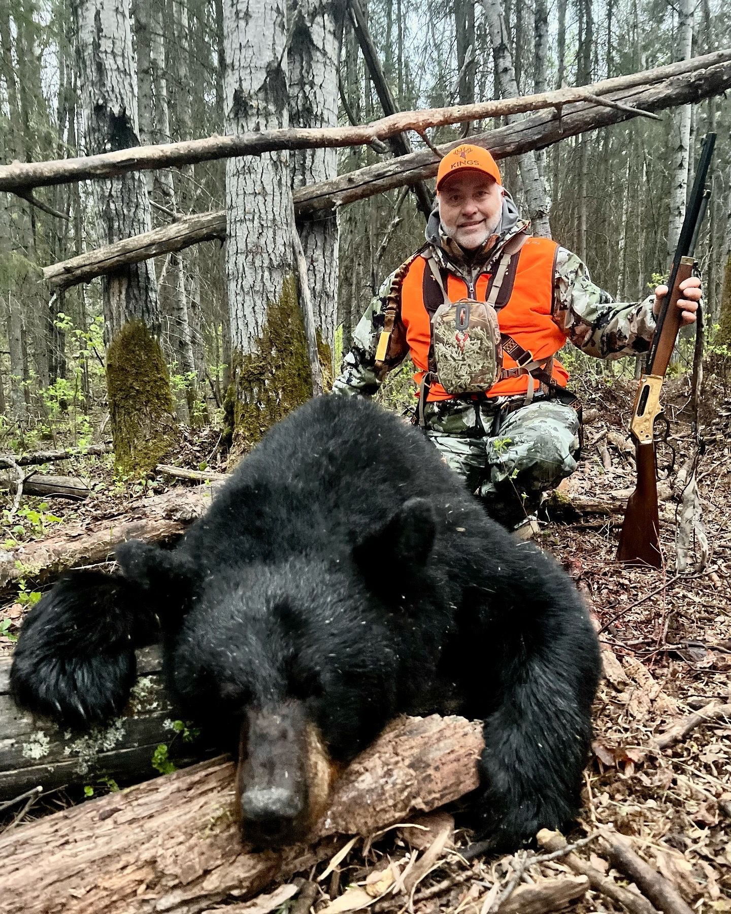bear
