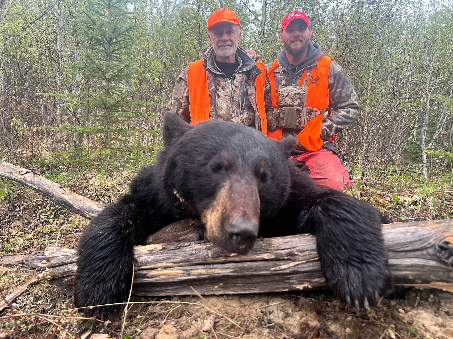 bear hunting guide