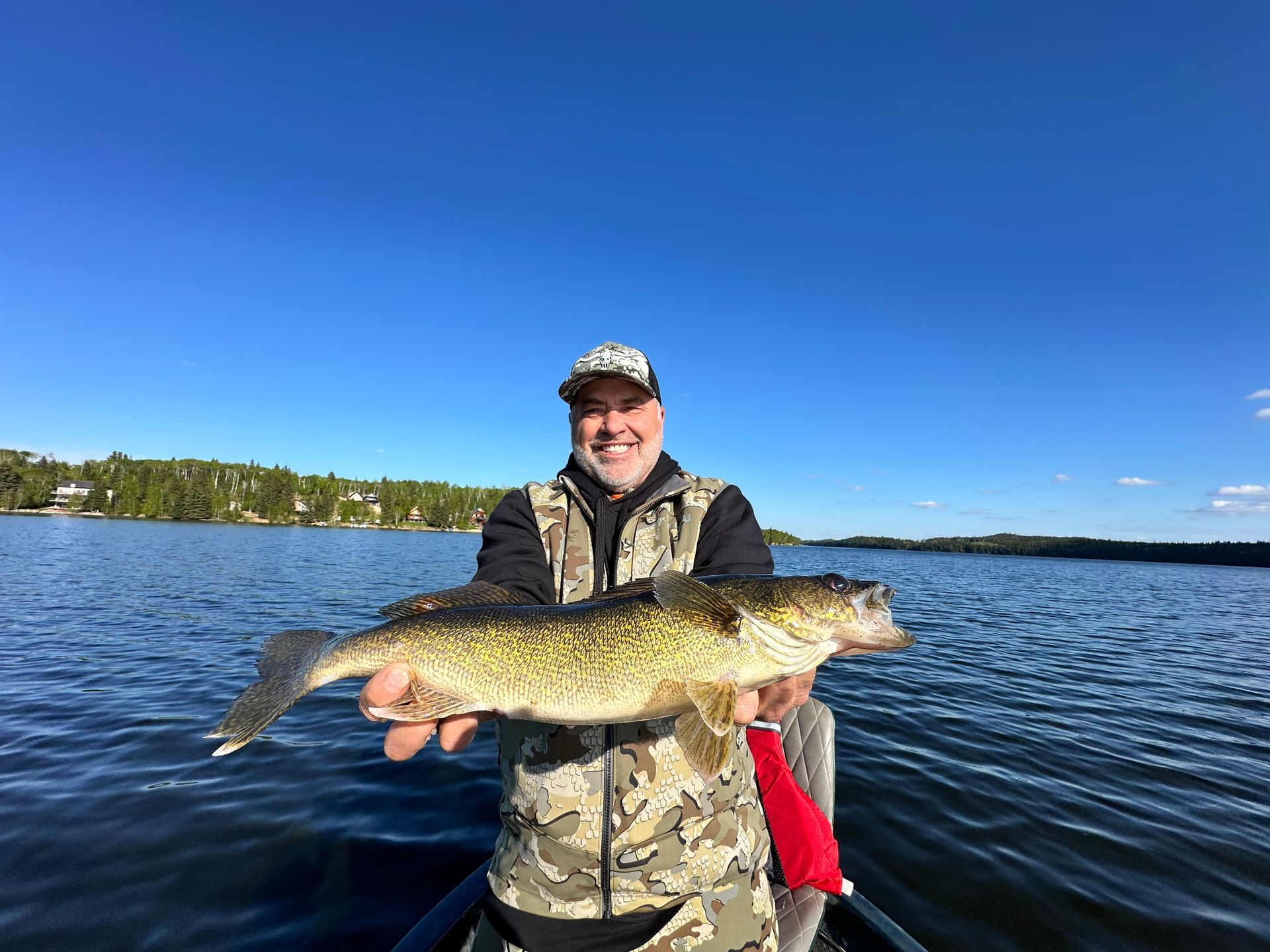 catch walleye with bear hunts in Canada
