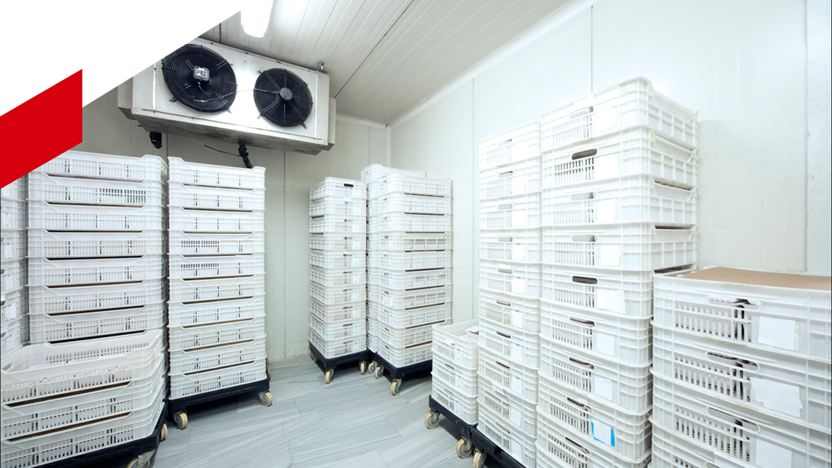 Meat Storage — Woree, QLD — Air First Air Conditioning and Electrical