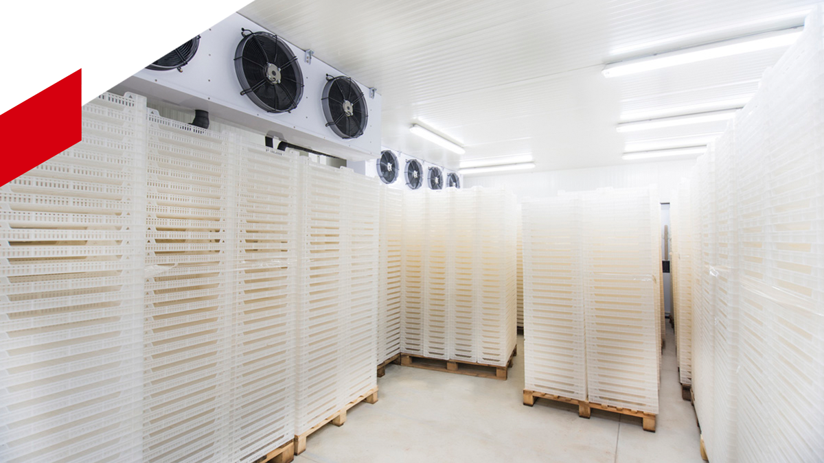 Big Industrial Refrigerator Storage — Woree, QLD — Air First Air Conditioning and Electrical