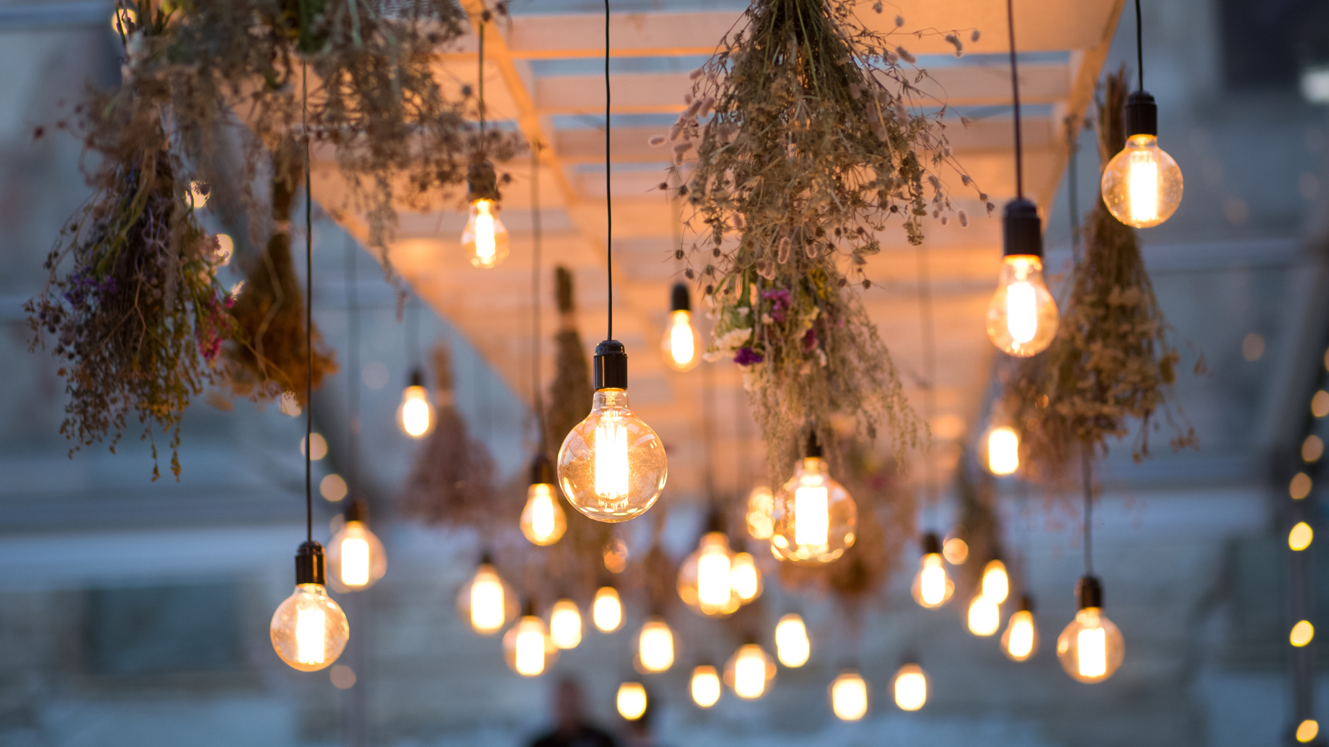 String lights with warm light bulbs hang from a white trellis, interspersed with dried flowers.