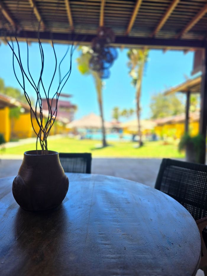 Mesa de pátio sombreada com um vaso, com vista para um gramado ensolarado de resort e palmeiras ao fundo.