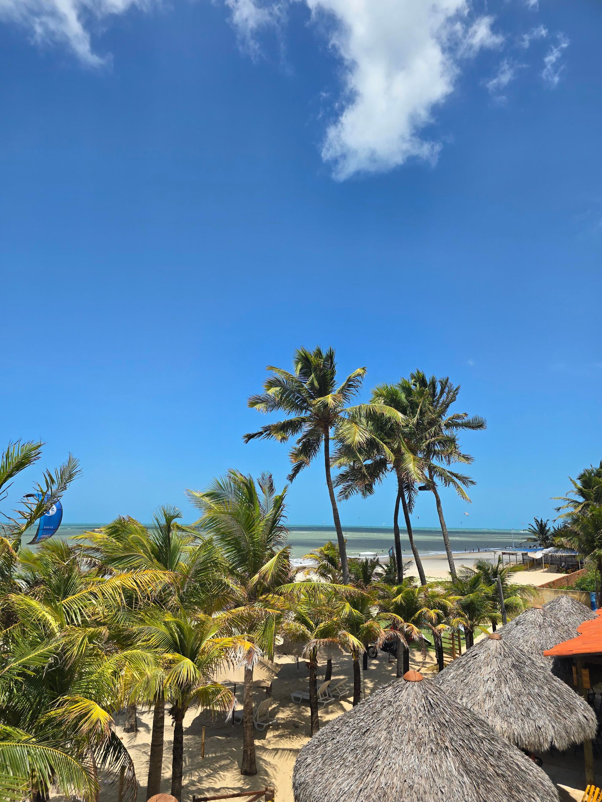 Praia tropical com palmeiras, céu azul e oceano além de cabanas de palha e vegetação.