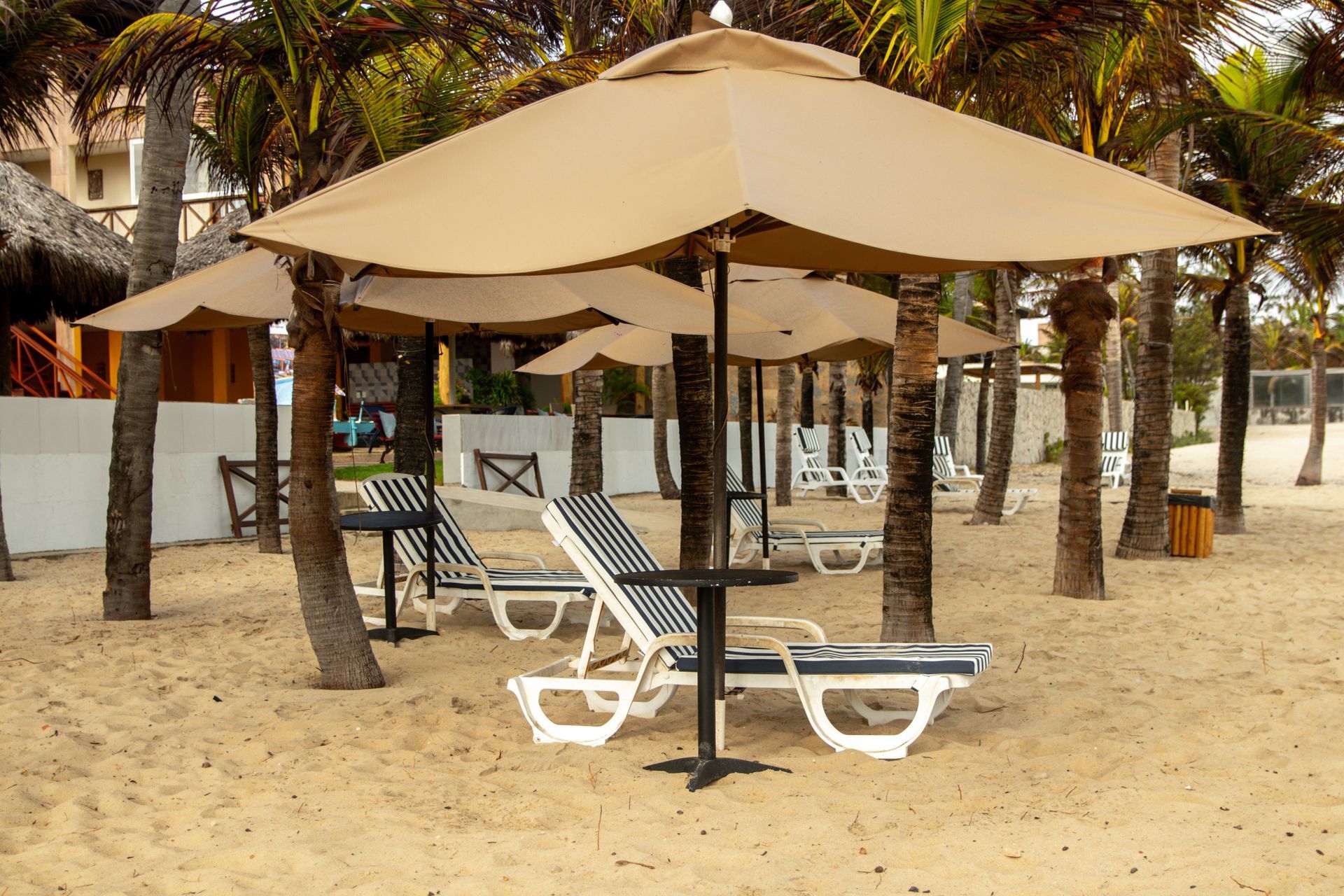 Cabana de praia com guarda-sóis bege e espreguiçadeiras brancas sob palmeiras na areia.