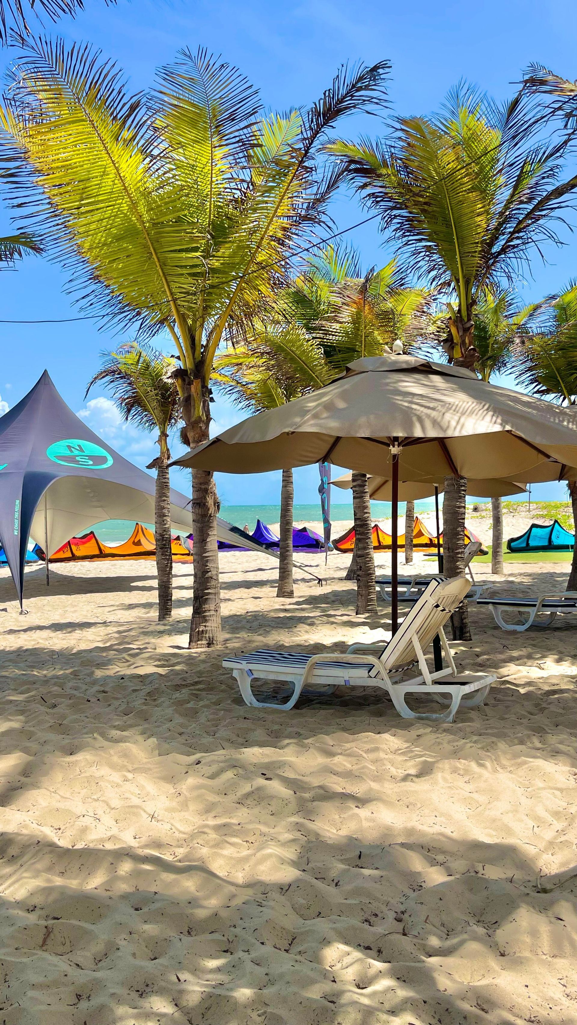 Praia ensolarada com palmeiras, guarda-sóis e espreguiçadeiras na areia, com tendas coloridas ao fundo.
