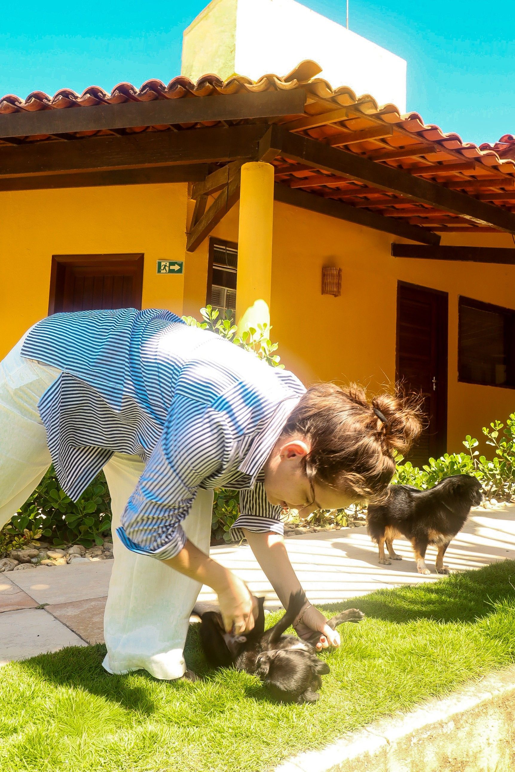 Pessoa se abaixando para acariciar um cachorrinho em um gramado ensolarado em frente a uma casa amarela.