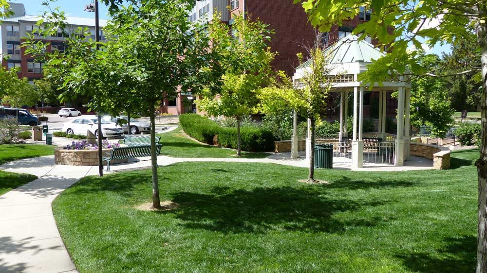 Green apartment courtyard with lawn, trees, sidewalk, and a white gazebo under bright sunlight