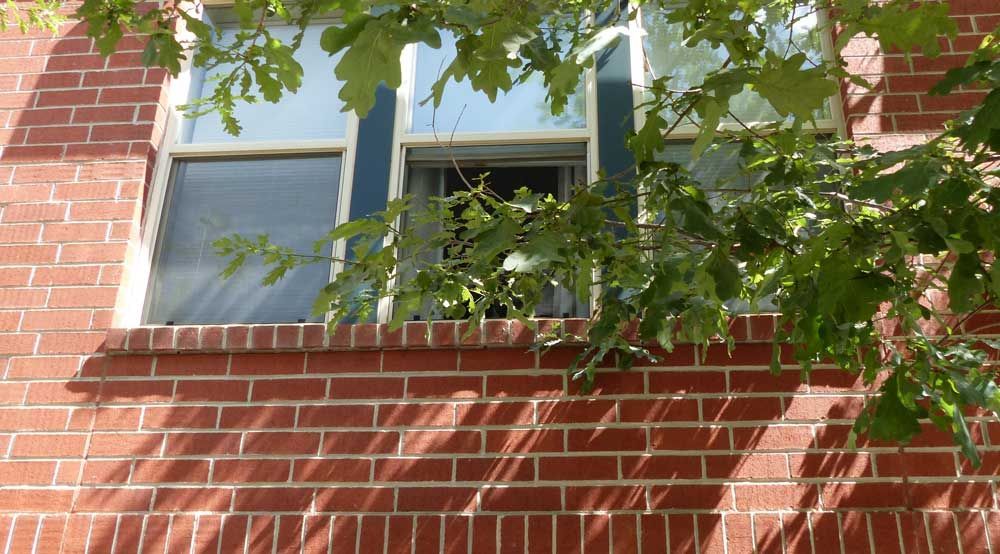Red brick building with open window and leafy branches in front