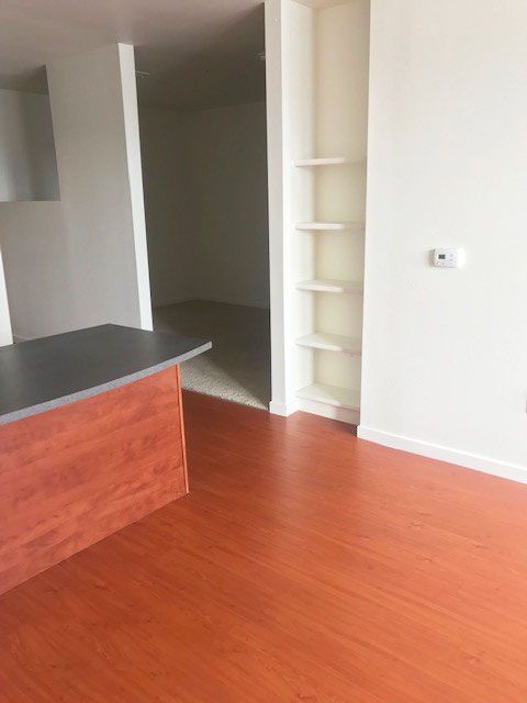 Empty modern kitchen with wood floor, gray countertop, white walls, and built-in shelving.