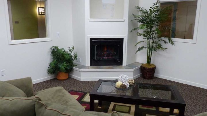 Cozy living room with fireplace, sofa, coffee table, and potted plants by the windows.