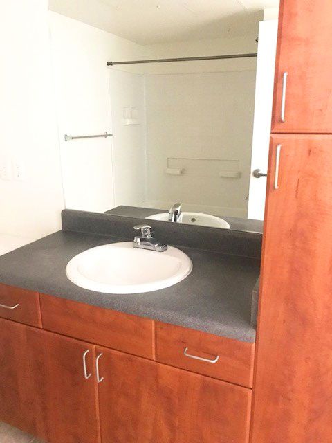 Bathroom vanity with white sink, black countertop, and large mirror above wooden cabinets