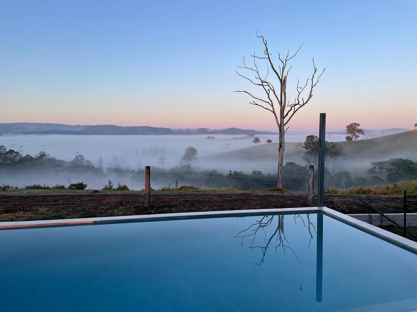 Infinity pool overlooking a misty valley at dawn; a bare tree reflects in the water. — HinterCoast Pools In Wolvi, QLD