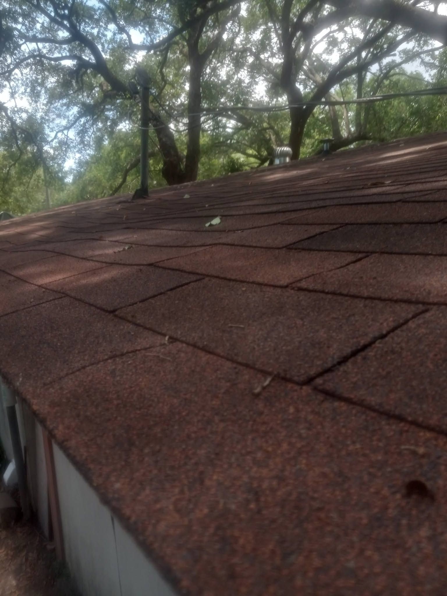 Weathered brown shingle roof with trees and sky in the background
