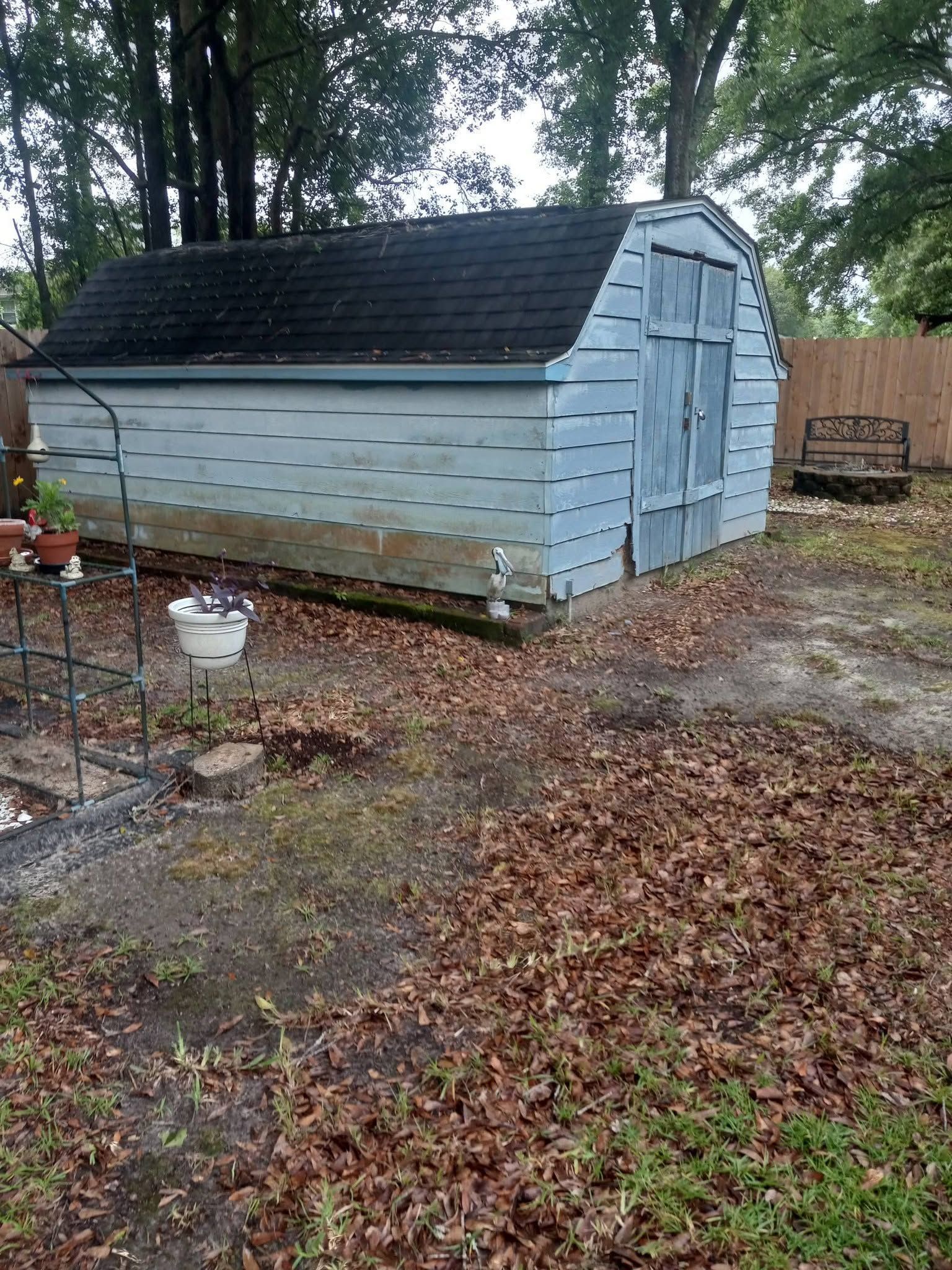 Light blue weathered shed with dark roof in a wooded yard covered with fallen leaves
