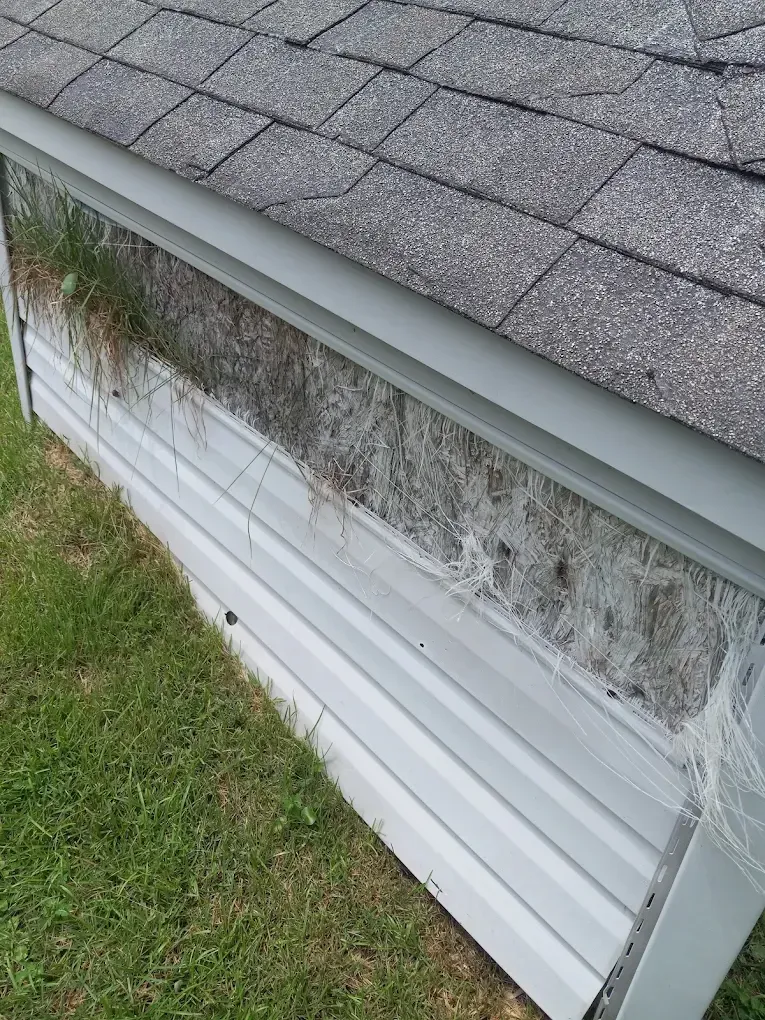 Damaged roof edge with torn white siding and exposed insulation beneath gray shingles