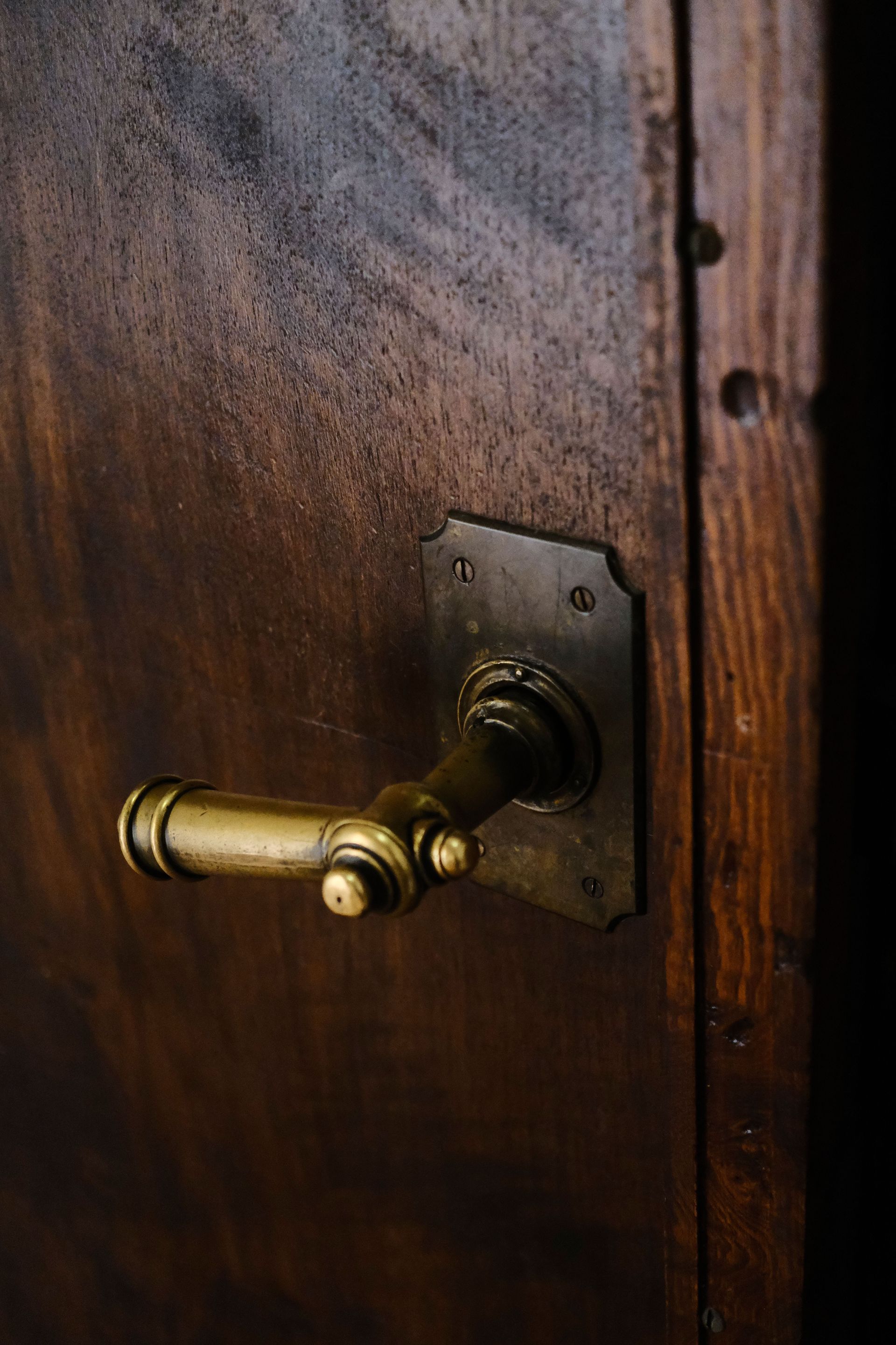 Brass door handle on a dark wooden door, close-up.