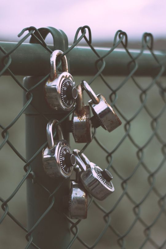 Three padlocks on a chain-link fence against a blurred outdoor background.
