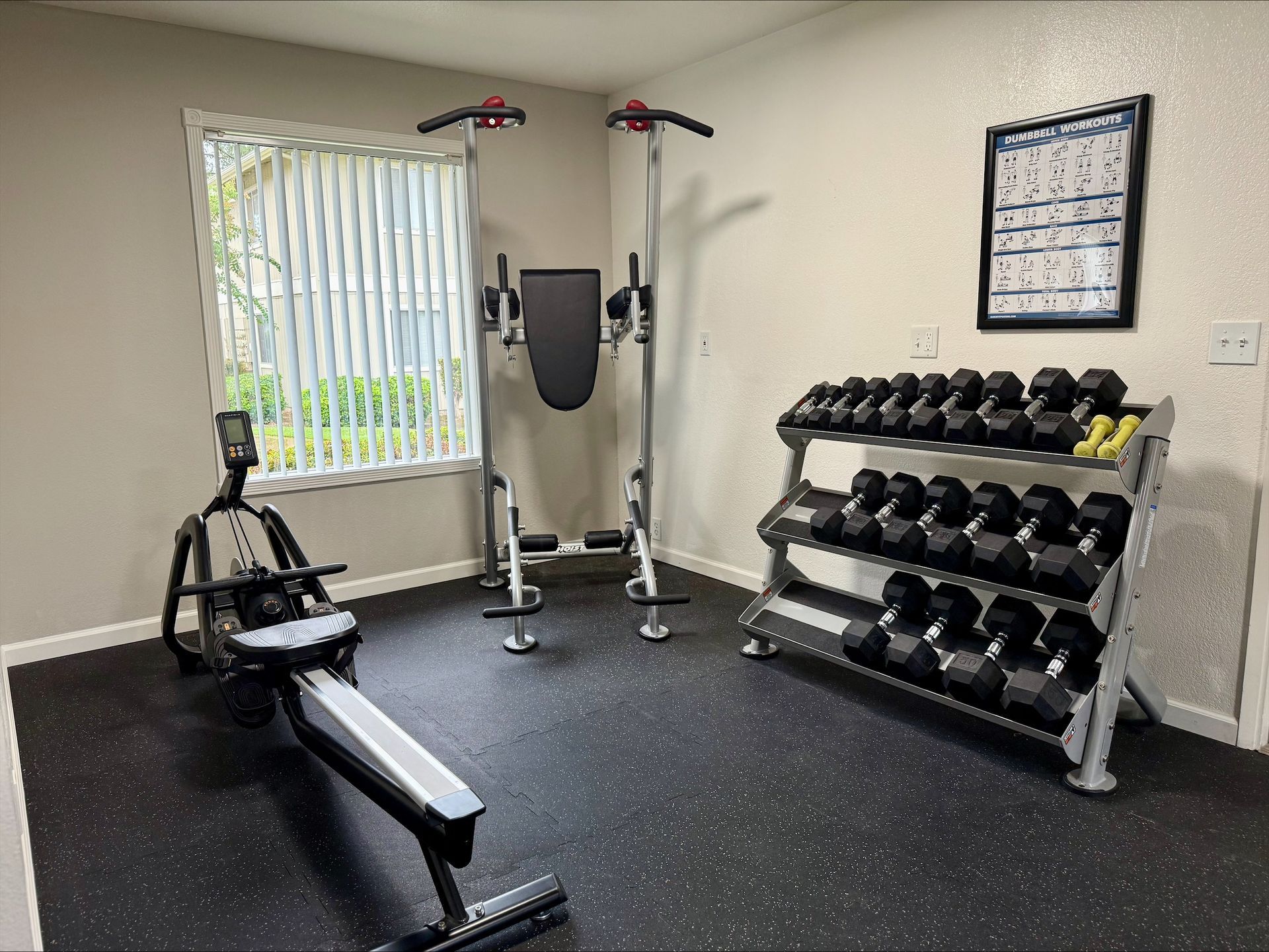 Home gym with rowing machine, pull-up station, dumbbell rack, and window.