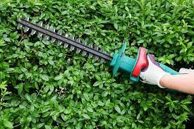 Garden power: Home and Garden Electrics