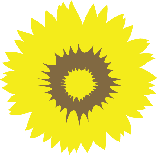 Yellow sunflower with green leaves on a white background