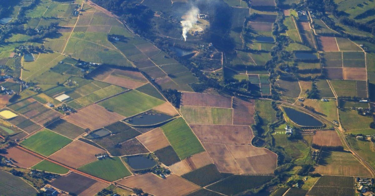 An aerial view of a lush green landscape with lots of fields and trees.