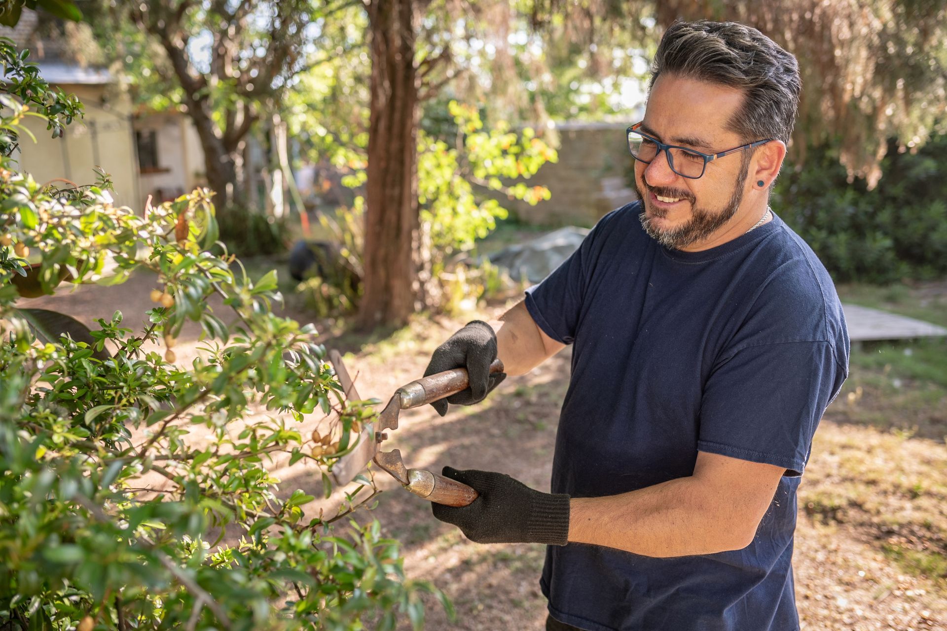 Man trimming a tree branch with pruning shears in a sunny garden