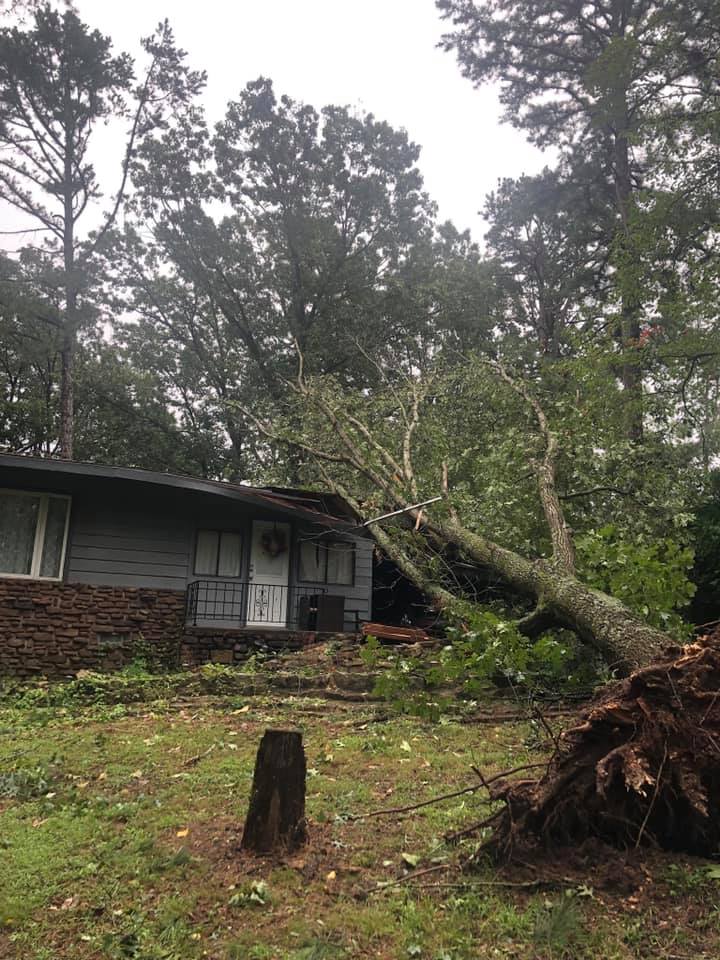 Tree that has fallen on the roof of a home