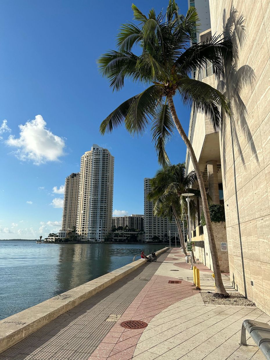 Waterfront promenade with palm trees, a tall condo building, and calm blue water under a clear sky.