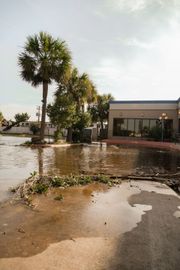 Flooded street with standing water, palm trees, and a building in the background