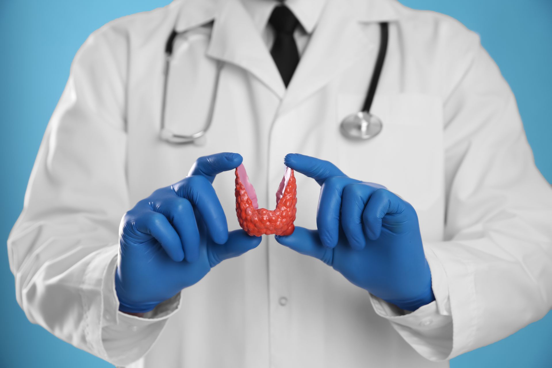 Un medico che indossa guanti blu tiene in mano una fragola.