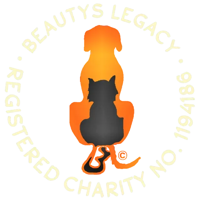 Beauty's Legacy logo -Homepage