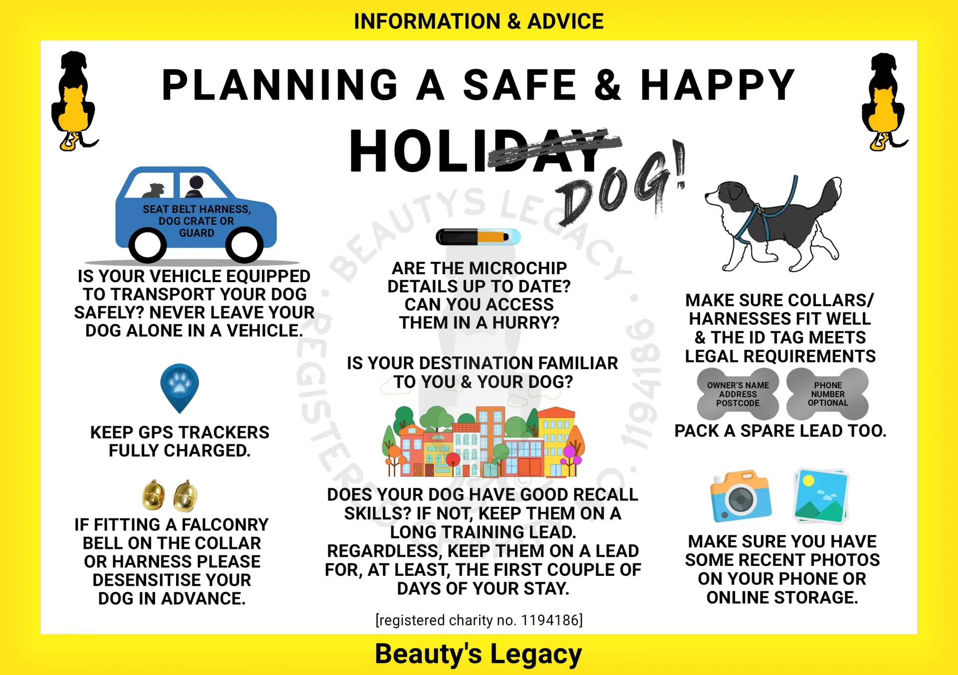 Plan a safe and happy HOLIDOG
