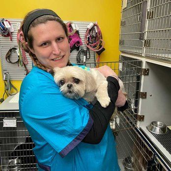 A Woman Is Holding A Cute Dog In Her Arms — Richmond, VA — Ridge Dog Shop