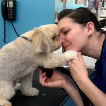 A Woman In A Blue Shirt Is Holding A Small White Dog — Richmond, VA — Ridge Dog Shop